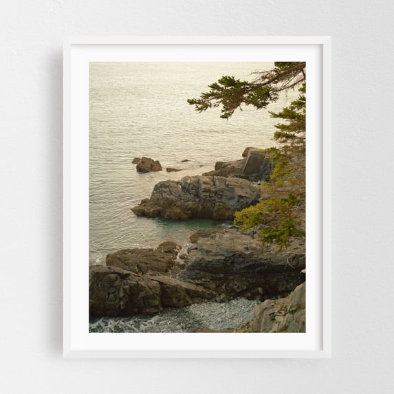 Cutler Coast 01 - Cutler Maine Photography Coast Ocean Nature Scenic Landscape Water White Framed Wall Art Print 18 x 24 inches