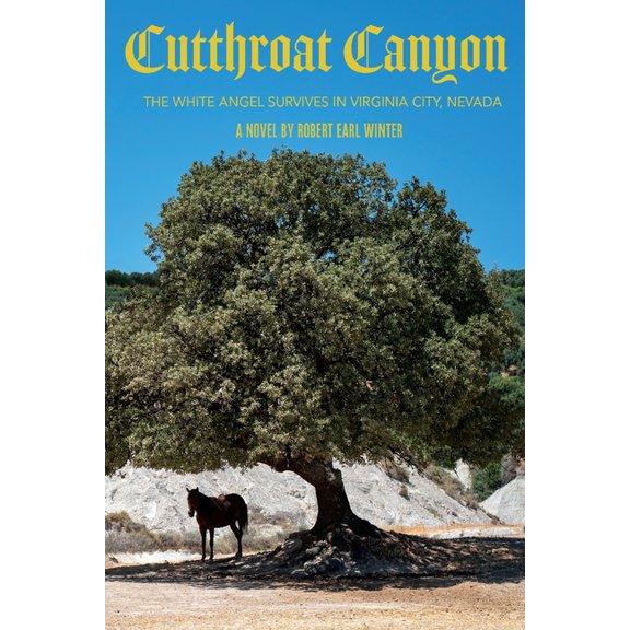 Cutthroat Canyon: The White Angel Survives In Virginia City, Nevada, (Paperback)