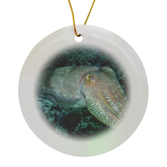 3drose, Cuttlefish, Agincourt Reef, Great Barrier Reef, Australia-au01 Dwa3030 - David Wall, Circle Porcelain Ornament