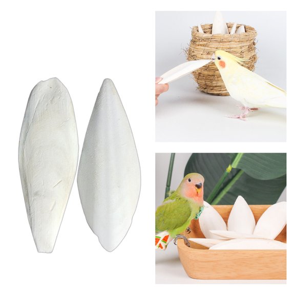 Cuttlefish Bone Natural Cuttlefish Bone Bird Calcium Source Natural Cuddle Bone Toy for Reptiles Turtles Cockatiels thrifty,White3