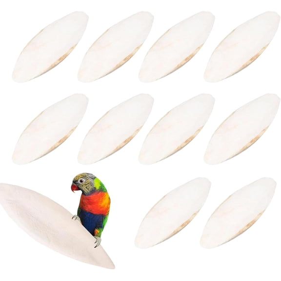 Cuttlefish Bone Toy, 10 Pieces Cuttlefish Bone for Tortoise Snails, Cuttle Fish Skeleton for Birds Chewing Toy, Natural Cuttle Fish Skeleton Cockatiel Treats, for Tortoise Accessories