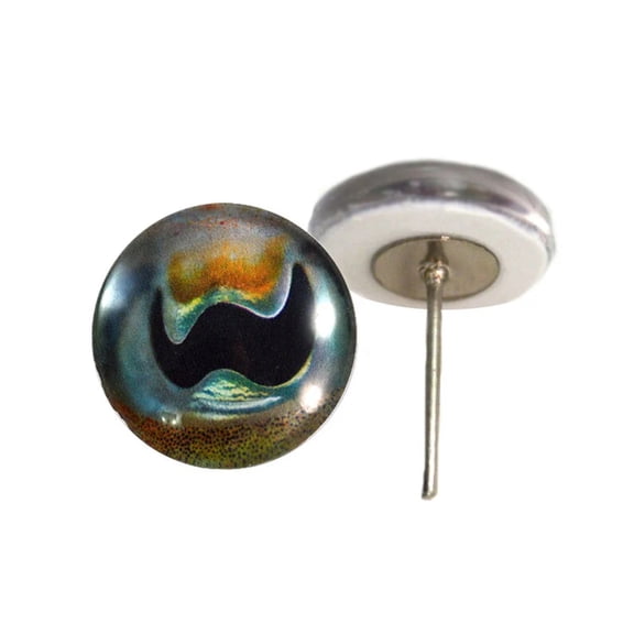 Cuttlefish Glass Eyes on Wire Pin Posts