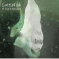 thumbnail image 1 of Cuttlefish & Loves Remains, 1 of 1