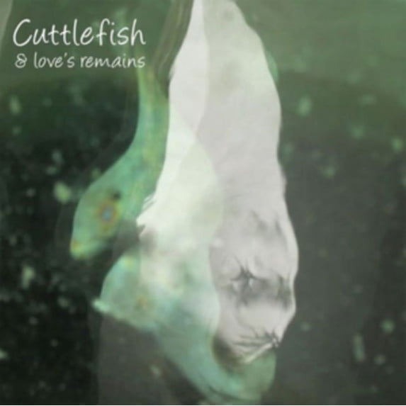 Cuttlefish & Loves Remains