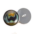 thumbnail image 1 of Cuttlefish Sew-On Button Glass Eyes, 1 of 7