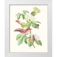 thumbnail image 1 of Cuvier, Georges 12x14 White Modern Wood Framed Museum Art Print Titled - Cuvier Bird And Habitat III, 1 of 4