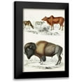 thumbnail image 1 of Cuvier, Georges 13x18 Black Modern Framed Museum Art Print Titled - Journal of Natural History VII, 1 of 5
