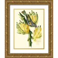 thumbnail image 1 of Cuvier, Georges 15x18 Gold Ornate Wood Framed with Double Matting Museum Art Print Titled - Cuvier Exotic Birds VII, 1 of 4