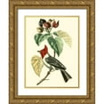 thumbnail image 1 of Cuvier, Georges 25x32 Gold Ornate Wood Framed with Double Matting Museum Art Print Titled - Cuvier Exotic Birds VI, 1 of 4