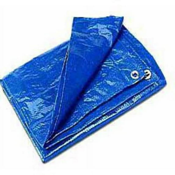 Cwc Regular-Duty Tarp, Blue