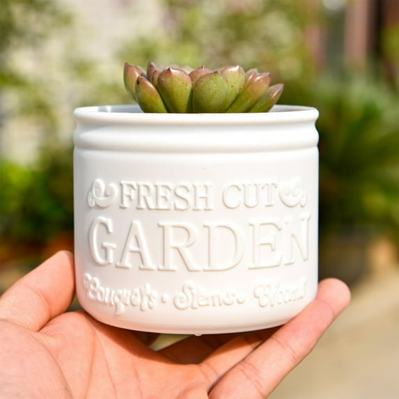 CxhicLuv Succulent Plastic Flower Pot, Small White/Black/Gray Planter for Home & Garden Decor, Ideal for Christmas Decorations & Succulent Planting, Indoor & Outdoor Planter