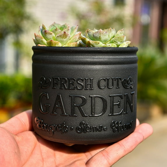 CxhicLuv Succulent Plastic Flower Pot, Small White/Black/Gray Planter for Home & Garden Decor, Ideal for Christmas Decorations & Succulent Planting, Indoor & Outdoor Planter