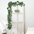 thumbnail image 1 of CxhicLuv Willow Leaf Rattan, Eucalyptus Vine, 2-Piece Green Foliage, Wedding Decor Kits, Natural Ambiance Maker for Event Stylists, Homeowners, 1 of 6