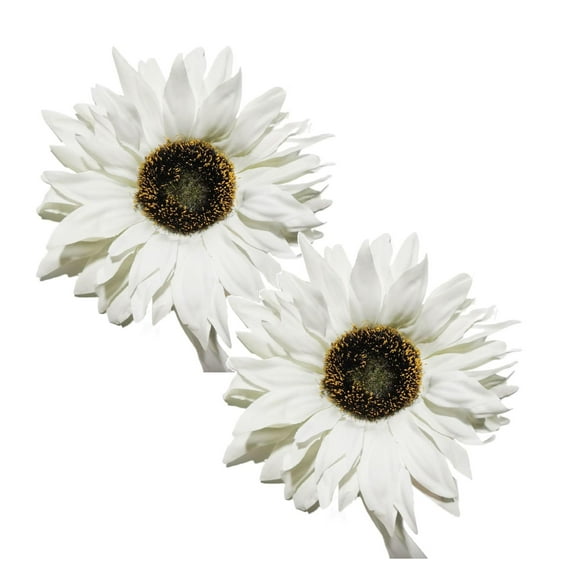 Cxui Curtain Ties, Magnetic Curtain Tiebacks, Sunflower Farmhouse Holders for Bedroom Windows, No-Damage Installation, White Home Decor Accessories (2Pcs) White*2