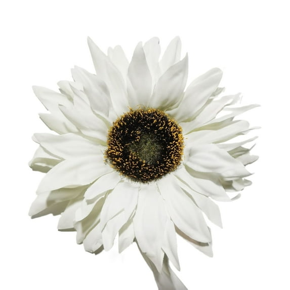 Cxui Curtain Ties, Magnetic Sunflower Curtain Tiebacks, Rustic Farmhouse Holdbacks for Living Room Decor, No-Drill Installation, White Nylon Window Accents White