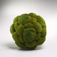 thumbnail image 1 of 1768-Cyan lighting-Moss - Medium Sphere-12 Inches Tall and 12 Inches Wide   Moss Green Finish, 1 of 1