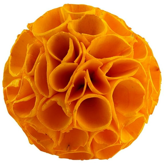 Cyan lighting - 5 Inch Nola Filler-Yellow Finish