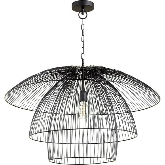 10796-Cyan lighting-Canopy - 1 Light Pendant-19 Inches Tall and 31.75 Inches Wide -Traditional Installation