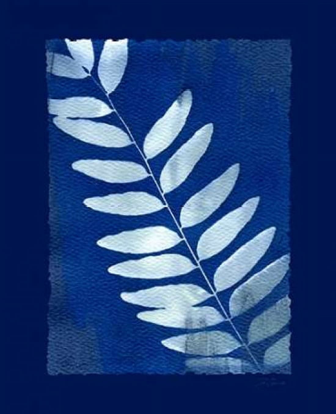 Cyanotype Fern Canvas Art - Dan Zamudio (20 x 24)