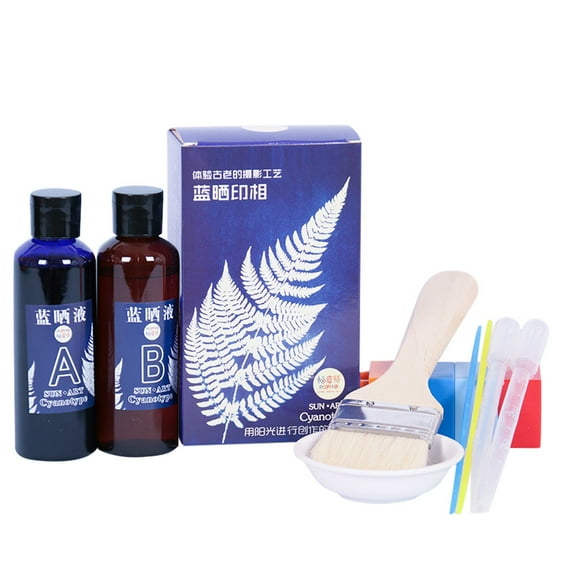 Cyanotype Kit, 2 Bottles Of Cyanotype Solution 100Ml Each With Seasoning Tray Brush 2 Straws For Diy Photography Art Projects Crafts Enthusiasts Beginners