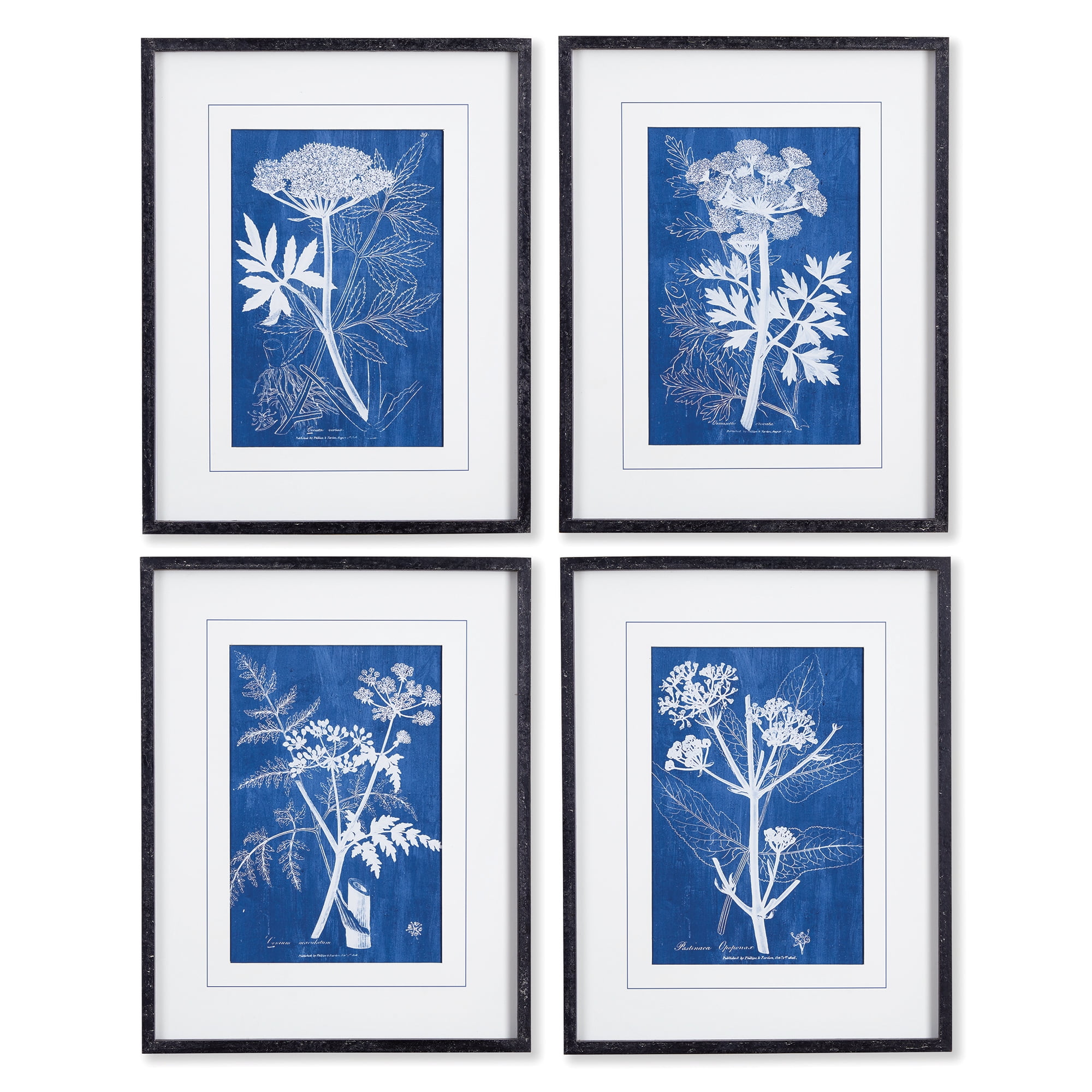 Set of 4 Blue and White Botanical Prints with Black Frames