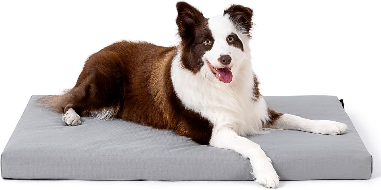 Cybarmour Indestructible Dog Bed Outdoor Waterproof Chew Proof