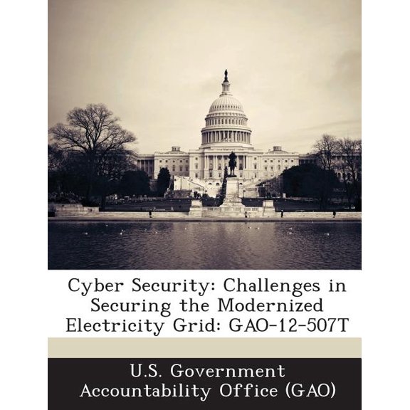 Cyber Security : Challenges in Securing the Modernized Electricity Grid: GAO-12-507T (Paperback)