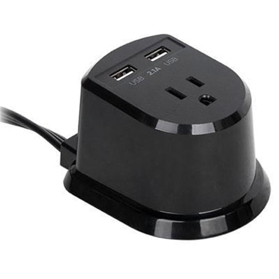 Cyberpower Dual Power Station