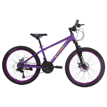 Cybic 24 inch Mountain Bike with Iron Frame,21Speed,Disc Brakes Bicycle, Purple