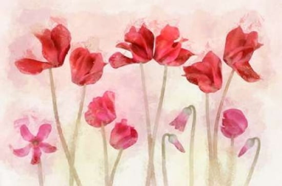 Cyclamen Family Painting Canvas Art - Cora Niele (12 x 18)