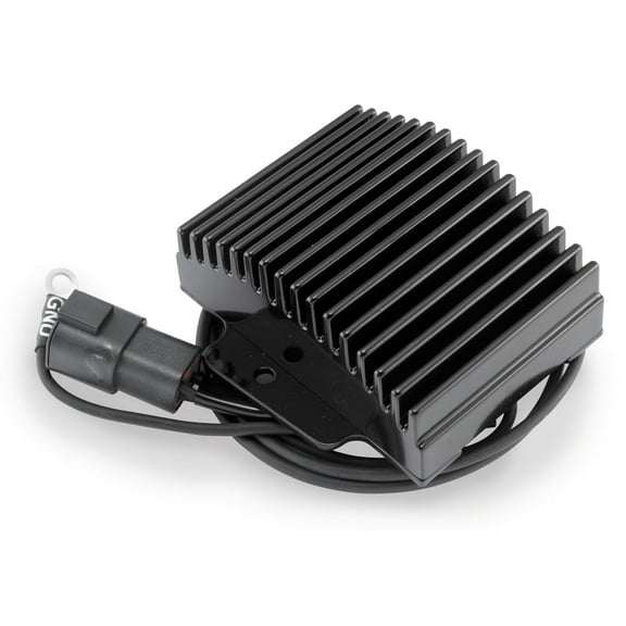 Cycle Electric CE-204