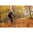 thumbnail image 1 of Cyclist Riding In Autumn On Humber Trail, Toronto Poster Print (36 x 24), 1 of 3