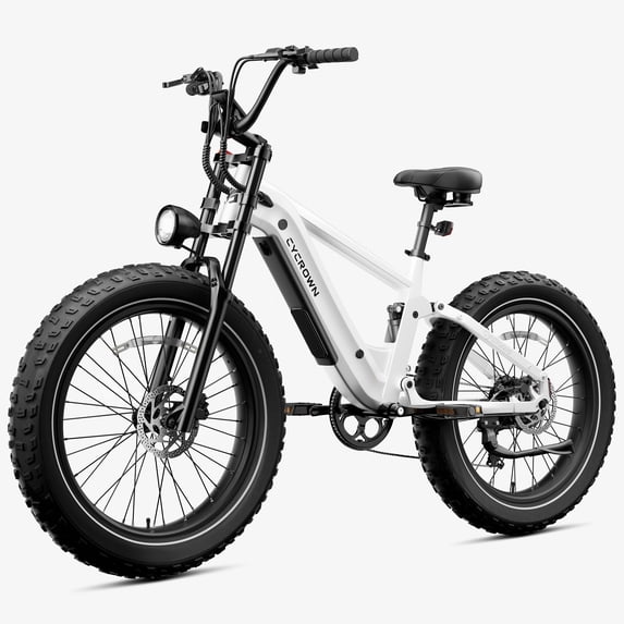Cycrown Roma 750W Motor 48V 20Ah Fat Tire E-Bike for Adults, Beach & Off-Road Adventure