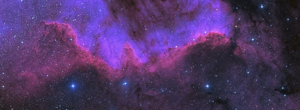 Cygnus Wall NGC 7000 the North American Nebula Canvas Art - Ken CrawfordStocktrek Images (46 x 17)