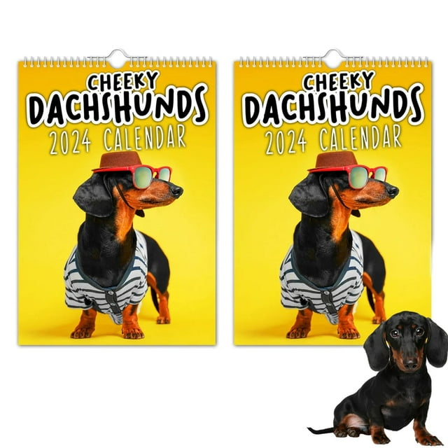 Cyinyin 2024 Desk Calendar Large Page a Day Calendar 2024 Wall Calendar