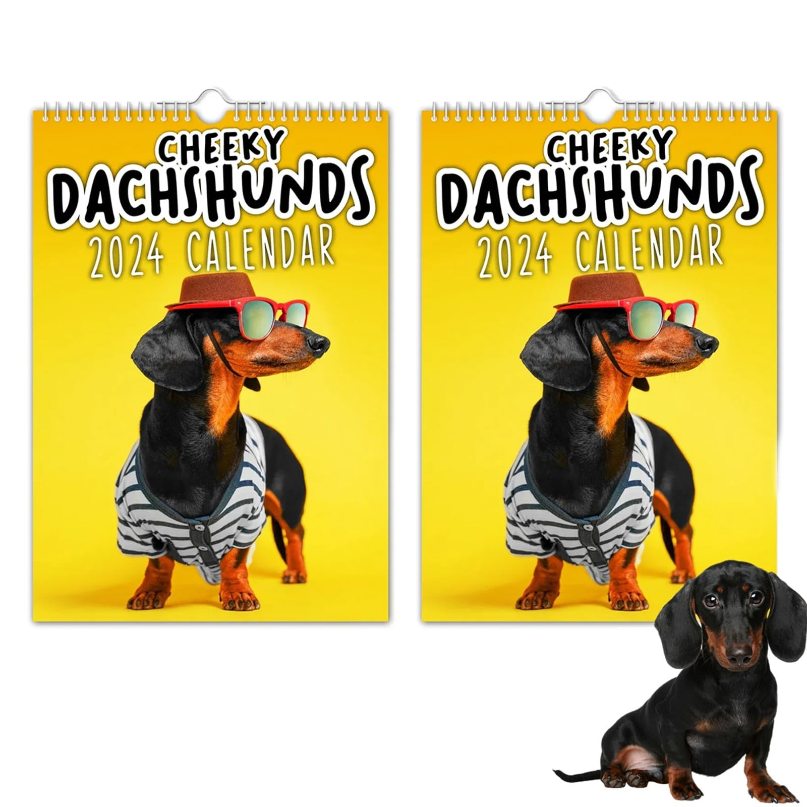 Cyinyin 2025 Desk Calendar Large Page a Day Calendar 2025 Wall Calendar