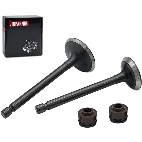 Engine Intake Exhaust Valve Kit with Stem Seals for Yamaha TTR125 TTR125L TTR125E TTR125LE 2000-2018, OEM 5VL-E2111-00-00