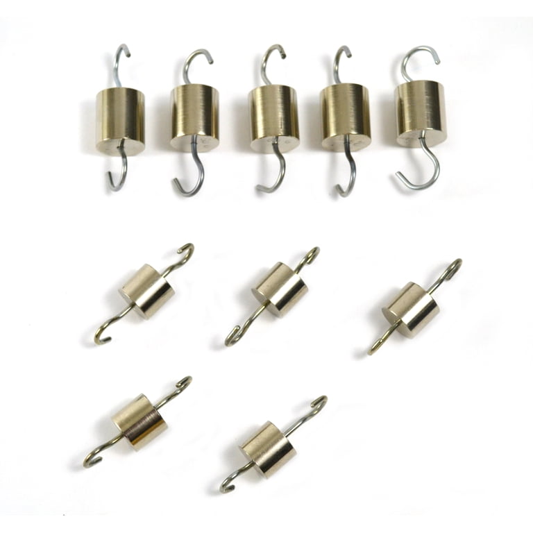 Brass Hooked Weight 100g Eisco Labs Individual Hooked Weight - Brass 100g  For Physics Experiments And Classroom Use