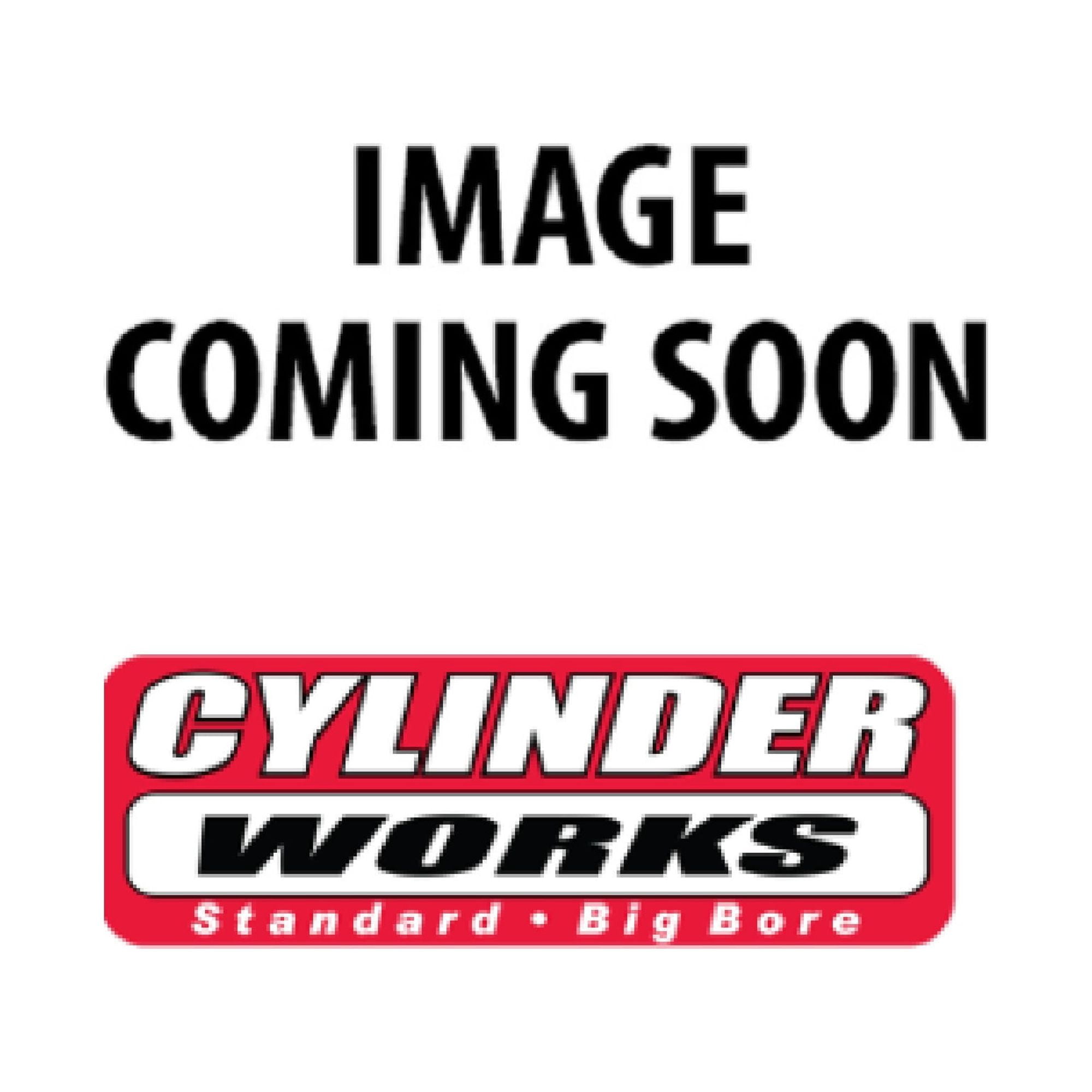 Cylinder Works Big Bore Cylinder Kit CW31017K01 For Kawasaki KX 250 F ...