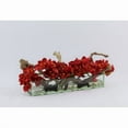thumbnail image 1 of Cymbidium Orchids and Driftwood Centerpiece in Glass Planter Red 48"L x 6"W x 8"H, 1 of 5