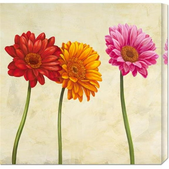 Cynthia Ann 'Gerberas (detail)' Stretched Canvas