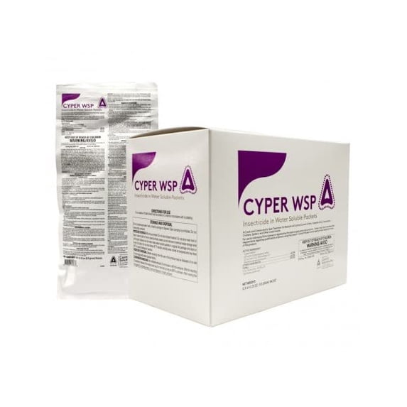 Cyper WSP Box (12 envelopes)