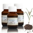 Cyperus Rotundus Oil, Cyperus Rotundus Oil for Hair Removal, Natural Pure Cyperus Oil, Reducing