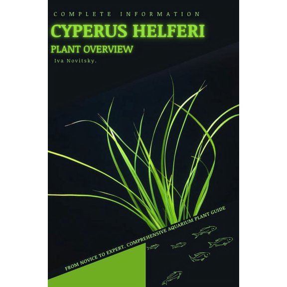 Cyperus helferi : From Novice to Expert. Comprehensive Aquarium Plants Guide (Paperback)
