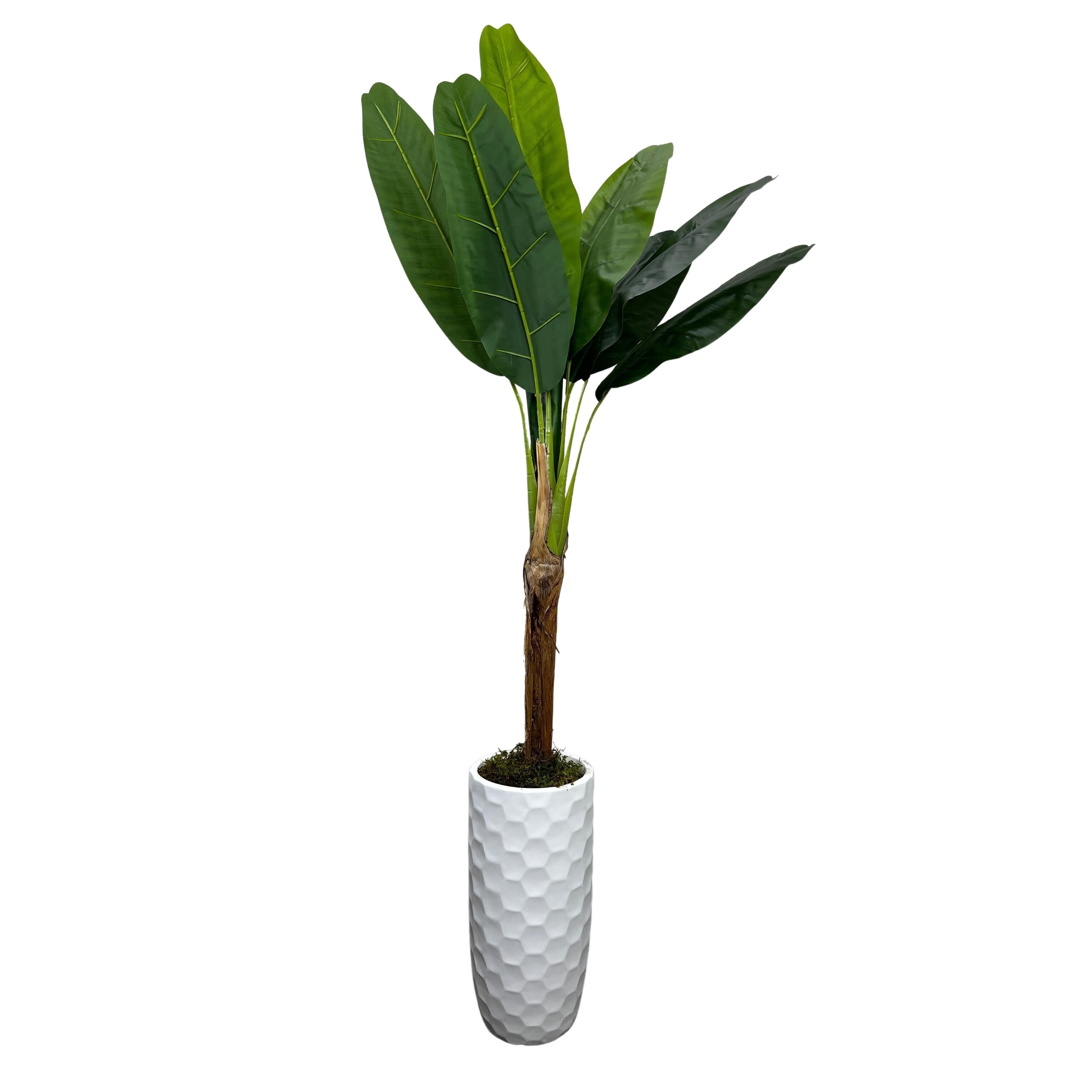 CYPRESS & ALABASTER Handmade 6 ft. Artificial Bay Olive Triple Topiary Tree in Home Basics Plastic Pot Made with Real Wood and Moss Accents 38090 - The Home Depot