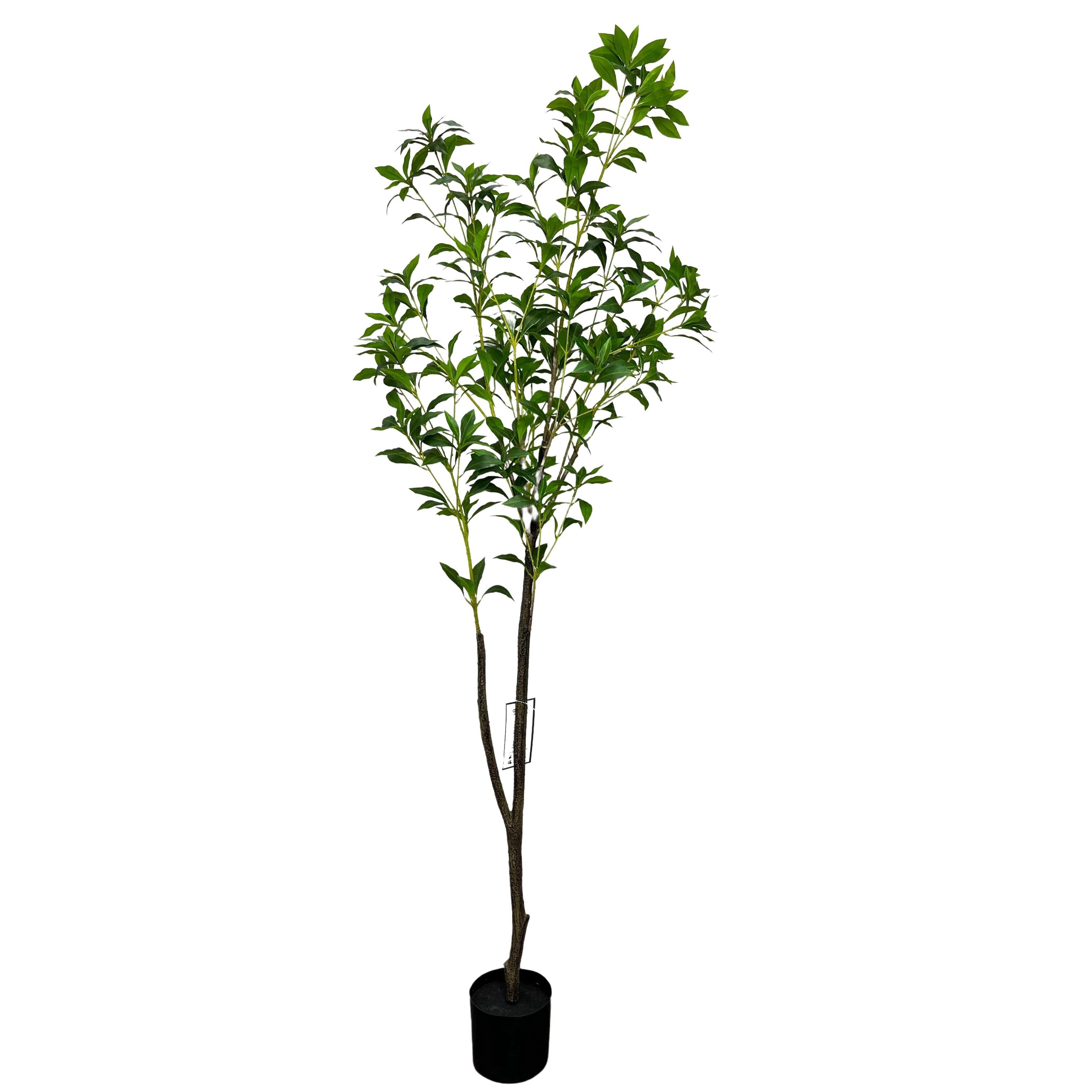 Cypress & Alabaster 6' Artificial Andromeda Japonica Tree with Simple ...