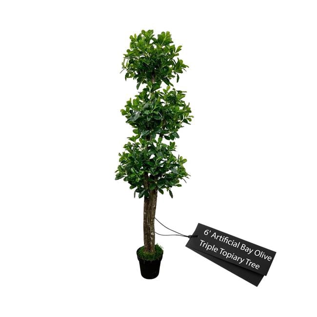 Cypress & Alabaster Handmade 6' Artificial Bay Olive Triple Topiary ...