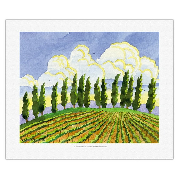Cypress in the Clouds - Tuscany Italy - Italian Vineyards - From an Original Watercolor Painting by Robin Wethe Altman - Fine Art Rolled Canvas Print 16in x 20in