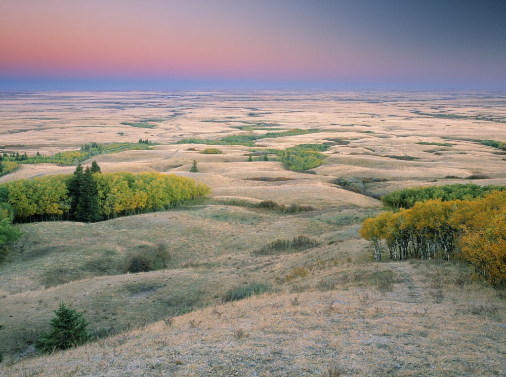 Cypress Hills Interprovincial Park Eastern Block Saskatchewan Canada Canvas Art - Darwin Wiggett Design Pics (16 x 12)