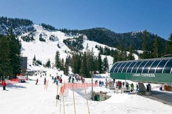 Cypress Mountain Canvas Art - Manfred Kraus (24 x 36)